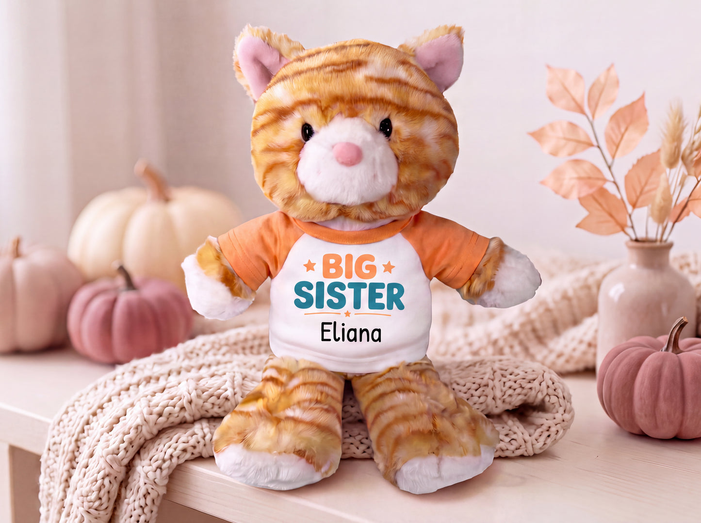 Personalized Big Sister Stuffed Cat - 12 Inch Plush Orange Tabby Cat - Choose shirt and design color and add any name