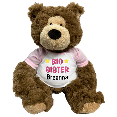 Big Sister Teddy Bear - Personalized 14" Bear Hugs
