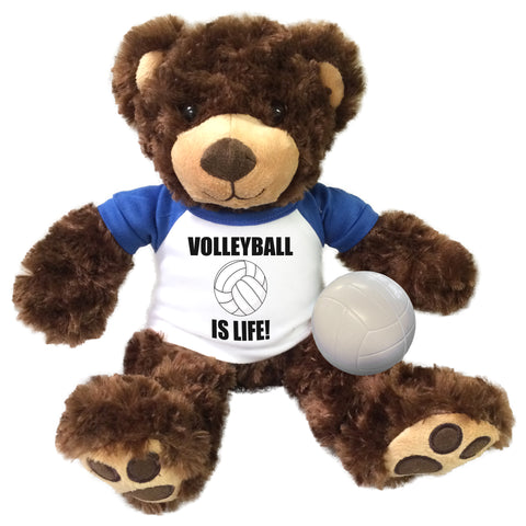 Personalized Volleyball Teddy Bear - 13" Brown Vera Bear