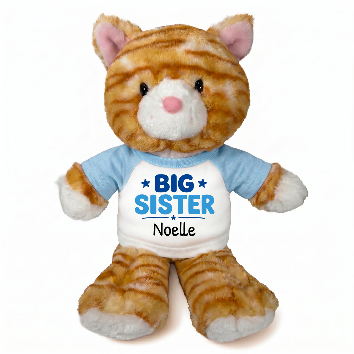 Personalized Big Sister Stuffed Cat - 12 Inch Plush Orange Tabby Cat - Light Blue Shirt with Blue Design