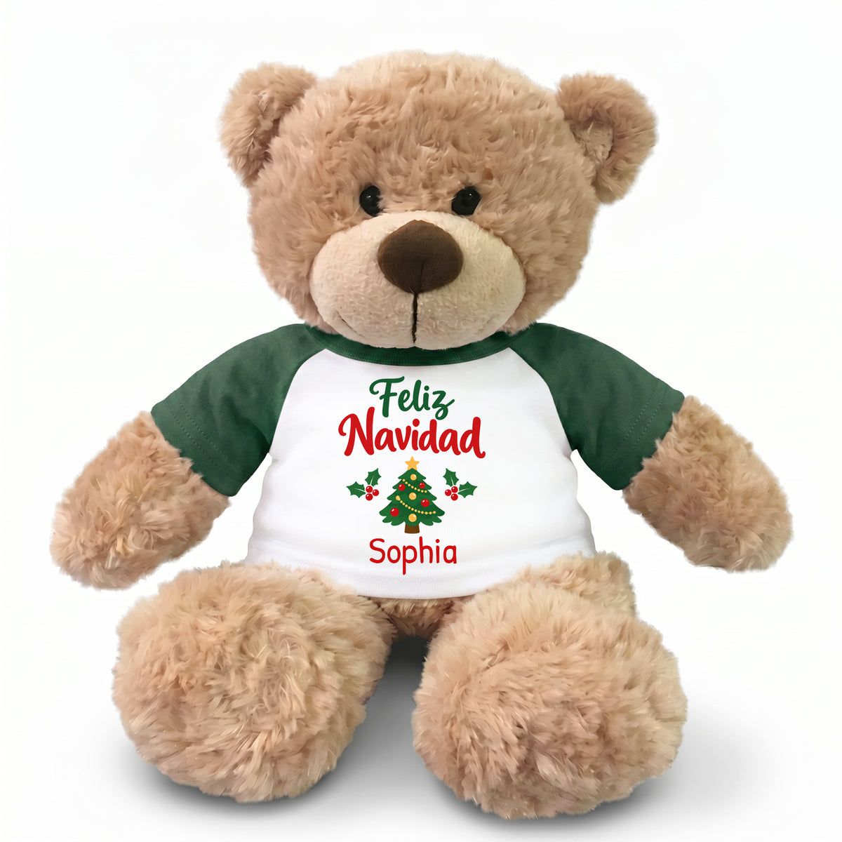 Personalized Christmas Teddy Bear - 13 Inch Bonny Bear