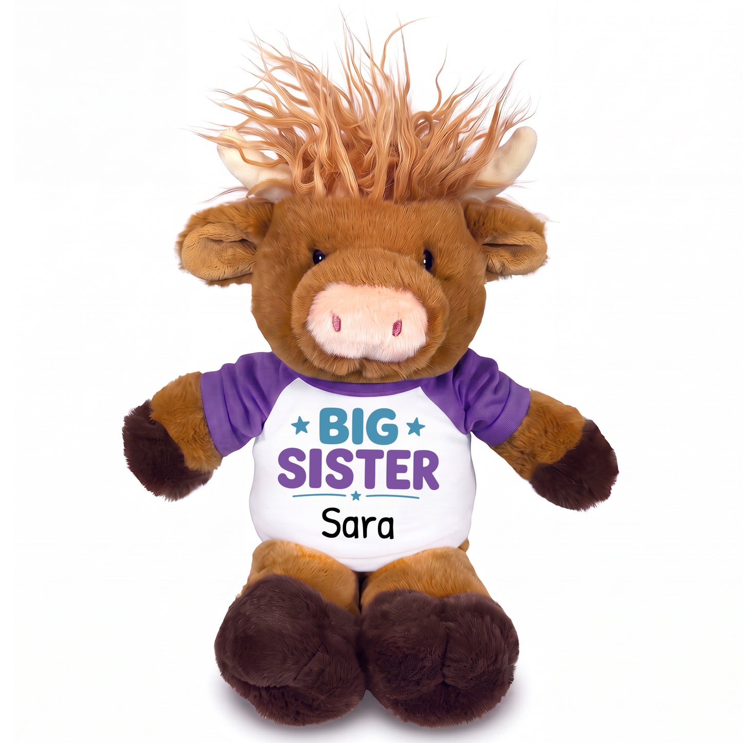 Personalized Big Sister Scottish Highland Cow - 12 inch Plush - Purple Shirt, Teal / Purple Design