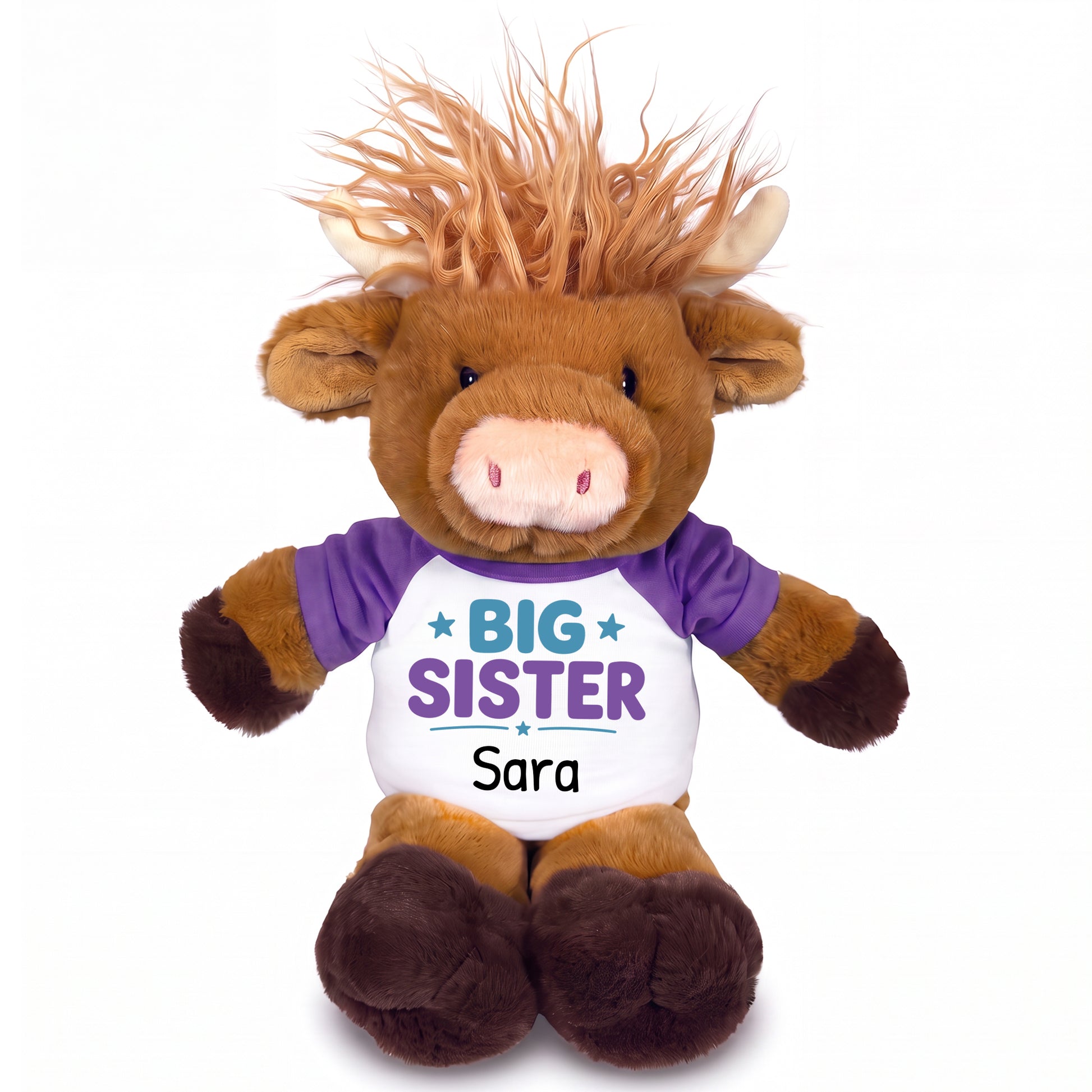 Personalized Big Sister Scottish Highland Cow - 12 inch Plush - Purple Shirt, Teal / Purple Design