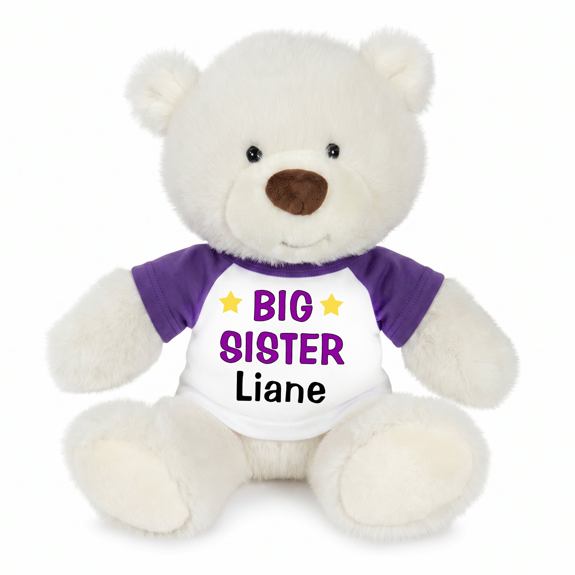 Personalized Big Sister Teddy Bear - 10 Inch White Nuzzles Bear - Purple