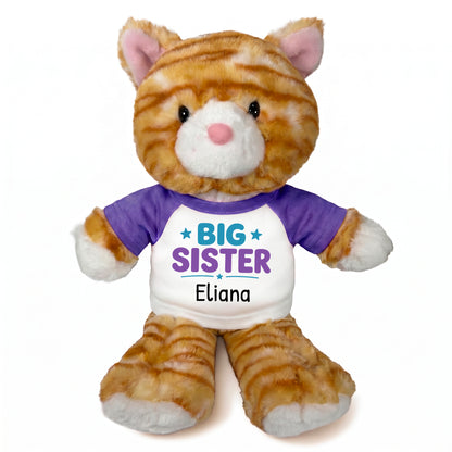 Personalized Big Sister Stuffed Cat - 12 Inch Plush Orange Tabby Cat - Purple Shirt with Teal and Purple Design