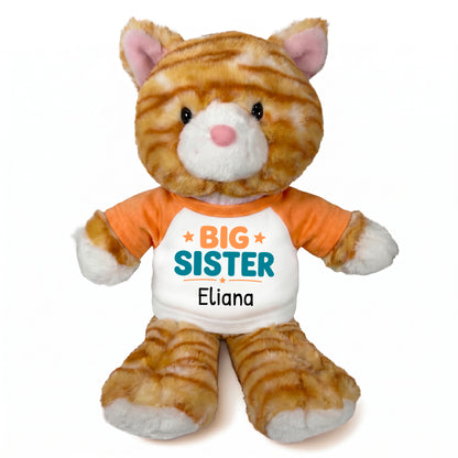 Personalized Big Sister Stuffed Cat - 12 Inch Plush Orange Tabby Cat - Orange Shirt with Orange and Teal Design