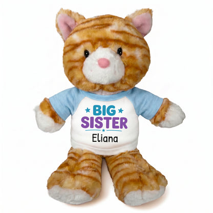 Personalized Big Sister Stuffed Cat - 12 Inch Plush Orange Tabby Cat - Light Blue Shirt with Teal and Purple Design