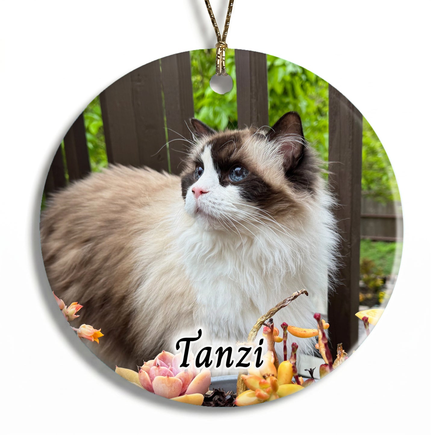 Pet Photo Christmas Ornament - Full Bleed Edge to Edge