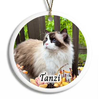 Pet Photo Christmas Ornament - White Border Style