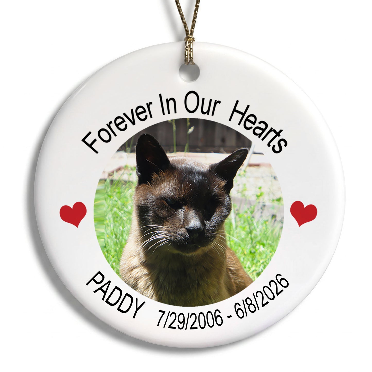 Pet Memorial Photo Personalized Christmas Ornament