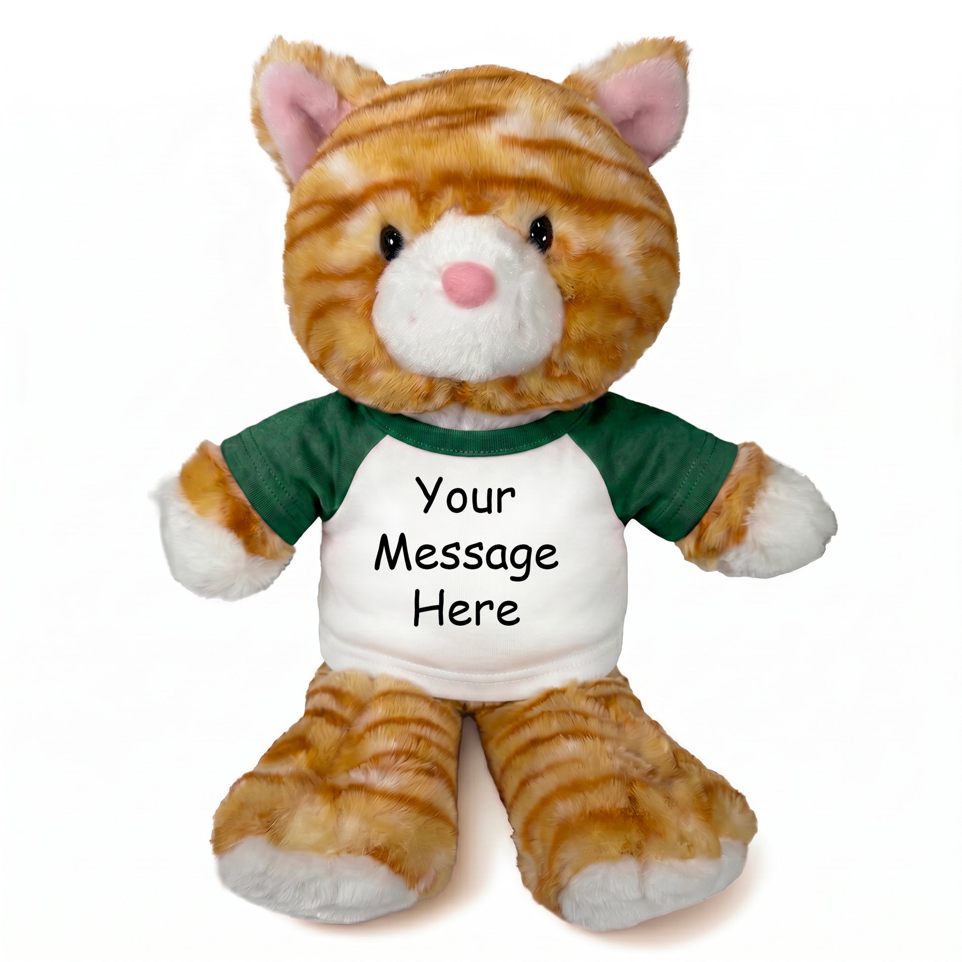Personalized Stuffed Cat - 12 Inch TumbleToes Orange Tabby Cat - Green Shirt