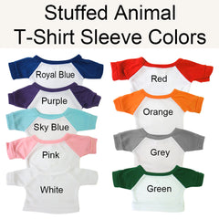 Teddy bear T-Shirt color examples