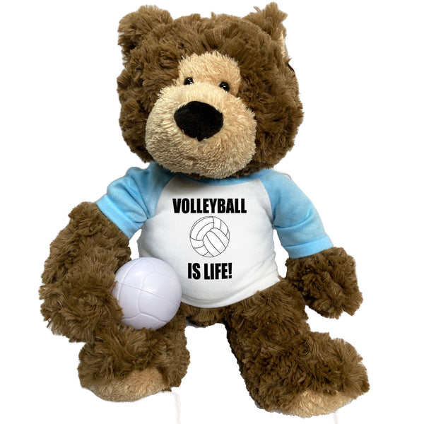 Personalized Volleyball Teddy Bear - 14" Bear Hugs
