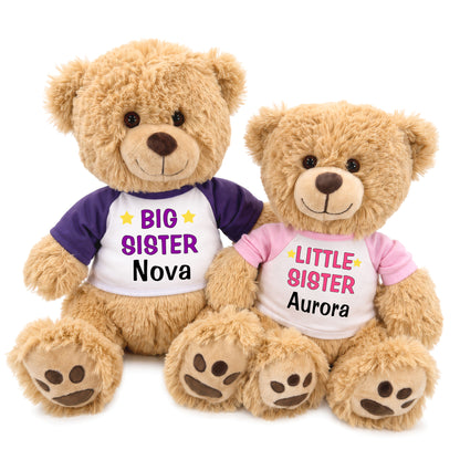 Big Sister / Little Sister Personalized Teddy Bears - Set of 2 Honey Bears - Purple/Pink