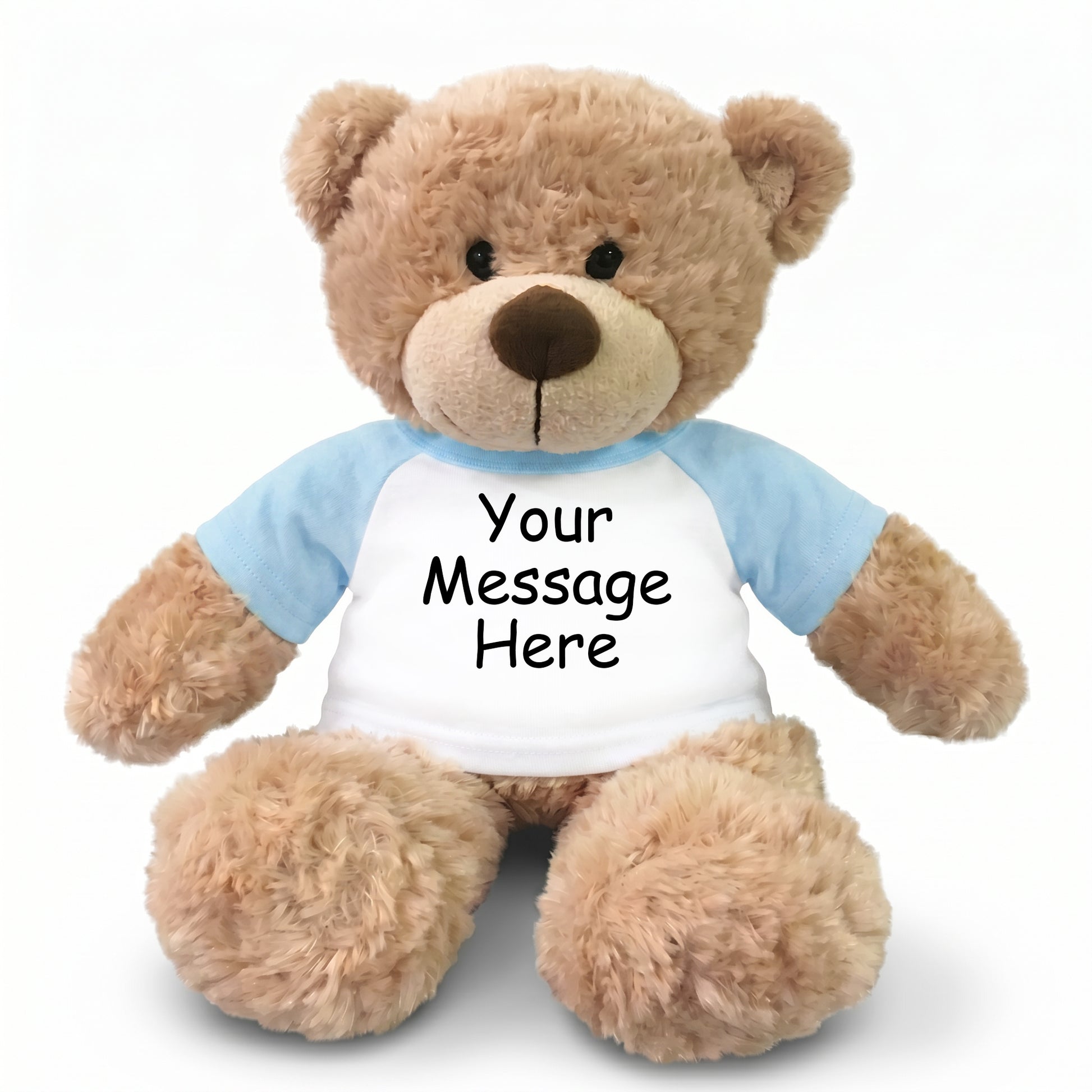 Personalized Teddy Bear - 13" Bonny Bear - Light Blue Sleeves