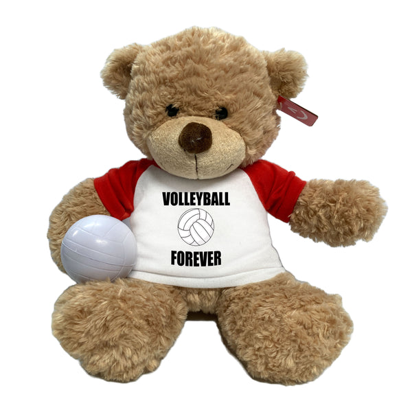 Personalized Volleyball Teddy Bear - 13" Bonny Bear