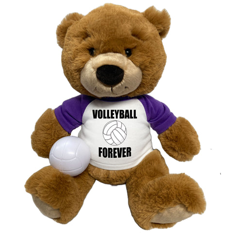 Personalized Volleyball Teddy Bear - 14" Ginger Bear