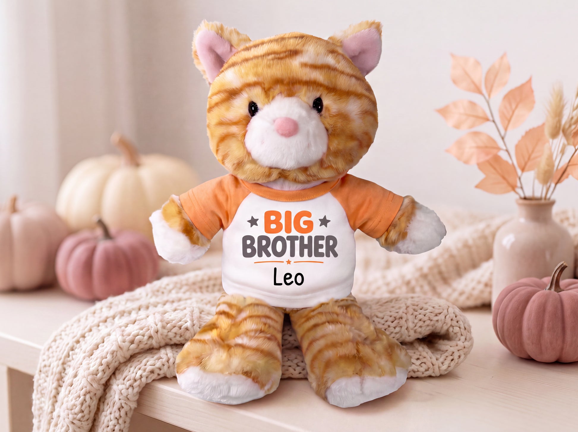 Personalized Big Brother Stuffed Cat - 12 Inch Plush Tabby Cat - Choose shirt color and add any name