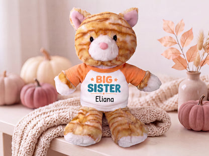 Personalized Big Sister Stuffed Cat - 12 Inch Plush Orange Tabby Cat - Choose shirt and design color and add any name
