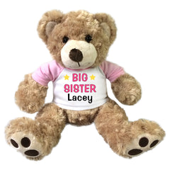 Big Sister Teddy Bear - Personalized 13" Honey Vera Bear Pink
