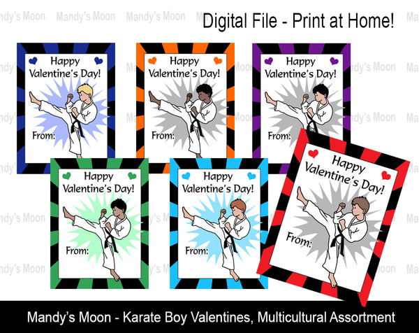 Karate Boy Digital Print at Home Valentines - Multicultural Assortment