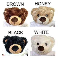 Bear colors for Personalized Big Sister Teddy Bear Gift Set